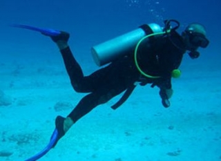 Escuela de Buceo Formación 